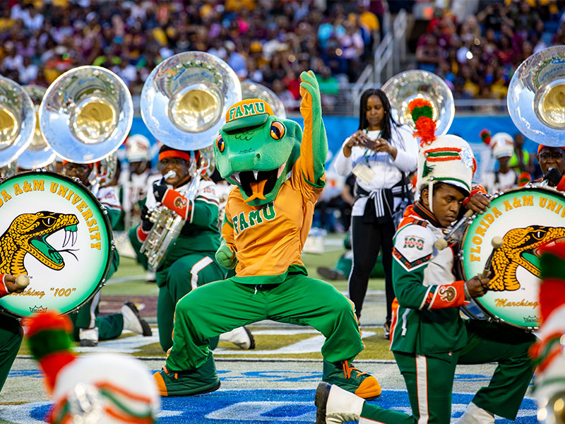 Lions and Tigers and Bears! The Meaning Behind HBCU Mascots
