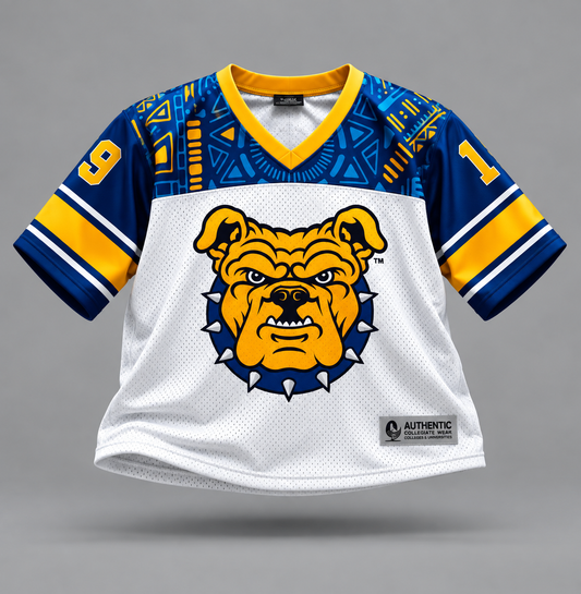 North Carolina A&T HBCU Jersey – Cropped